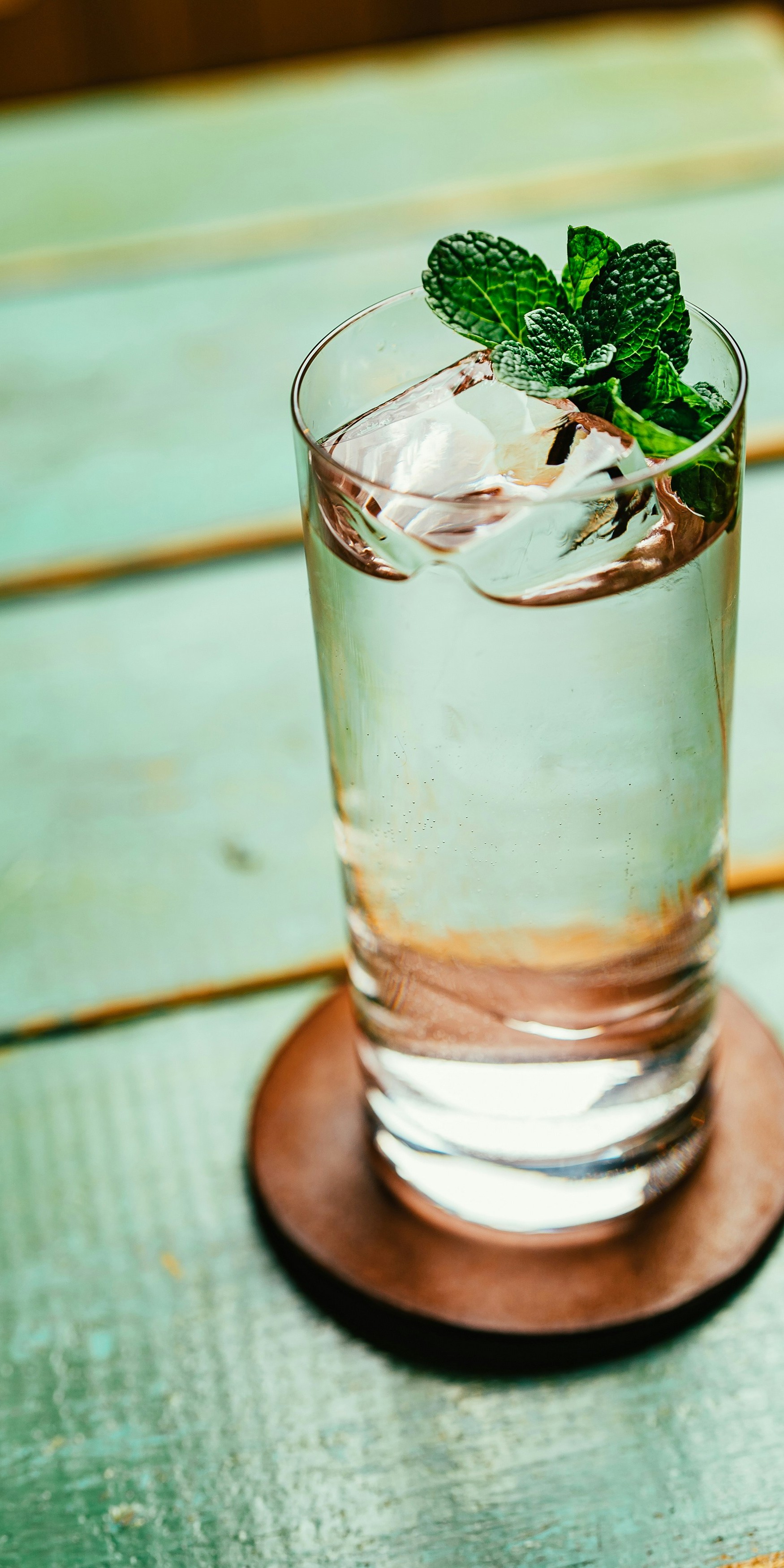 Mint garnish detail on a cocktail
